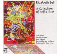 E.Farnum,St.Drake,M.Lifchitz,the North,South C.E. - Collection of Reflections