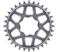 e*thirteen Helix R e*spec TQ HPR50 Direct Mount Kettenblatt, 32 Z., argent