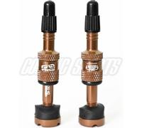 e*thirteen Quick Fill Tubeless Presta Ventile, 23-31mm Felgentiefe, 2 Stk, bronze