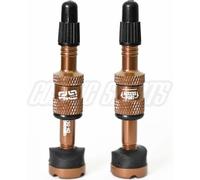 E-thirteen Quickfill Presta Ventile Golden 40 mm Golden 40 mm