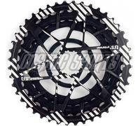 e*thirteen TRS Plus 11-fach Aluminiumritzel, 32-44 Z., noir