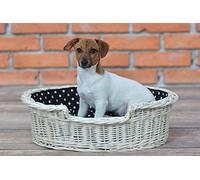 e-wicker24 Panier en Osier, Corbeille, Niche en Osier Naturel (100 cm, Blanc - Noir)