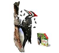 e11even Madd CAPP Puzzles -