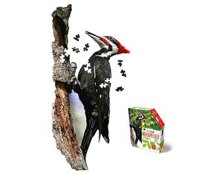 e11even Madd CAPP Puzzles -