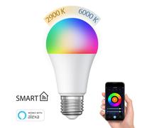 E27 Ampoule LED RGB A60 blanc chaud - blanc froid (3000 - 6500 K) 9,4 W 892lm