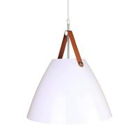 E27 Light Source Single-Headred Chandelier Simple Style Metal Pendant Lamp Creative Leather Modeling Modeling Hanging Bedroom Dining Room Decoration Lighting Filtures , Pendante Lights (Vert, 14,6
