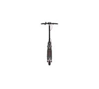 Segway Trottinette électrique Ninebot E3 Pro E 400 W noir et gris