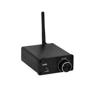E320 100Wx2 12V Portable Table Hifi Standard Audio Professionnel TPA3116 Amplificateur Numérique Puissant