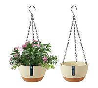 EACHPT 2 Pièces Pots de fleurs à Suspendre, Pot de fleurs Suspendu à Arrosage Automatique,pots de fleurs Suspendus pour lextérieur avec trous de Drainage et Soucoupe Amovible pour Plafond Balcon Φ21CM