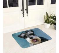 EAEQKOUC Tapis 3D Paillasson antidérapant en Flanelle de Noël avec éponge épaisse, Rembourrage - Design Festif de Canne en Sucre d’orge et de Flocons de Neige, Machine était