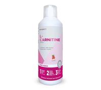 EAFIT MINCEUR - L-CARNITINE DRINK - Bruleur de graisse puissant - Perte de poids - Booster Energétique - Améliore Rendement Sportif - Vitamine B6 - Choline - Saveur Peche - Avant le sport - 500 mL