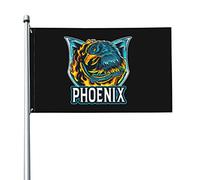 Eagle De Feu Phénix Garden Flag Avec Œillets Drapeaux De Jardin Drôle Bannière Pour Pelouse Patio Intérieure 90X150Cm