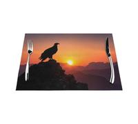 Eagle Mountain Peak Sets de table tissés en PVC résistant à la chaleur