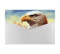 Eagle - Organiseur de documents en accordéon à 6 poches - Dossier extensible avec étiquettes, dossiers de documents de voyage - Enveloppes en plastique avec fermeture à pression - 33 x 23 cm