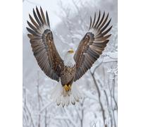 Eagle Snow Scene 1000-piece Puzzle for Adults,Classic Jigsaw Puzzle,Educational Game Toys Suitable for Children and Teenagers,Gift Ideas for Family Travel,50x70cm