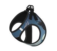 Eagle Under The Stars Ensemble harnais et laisse doux pour animal de compagnie, harnais réglable en maille pour chiots et chats de petite, petite et grande taille