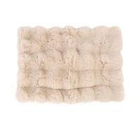 EALRIDV Couverture de Chien, Couverture de Chien Ultra Douce Moelleuse, Tapis de Confort Portable avec Surface Moelleuse pour l'intérieur, Voyager pour Les Jours froids (2XL)