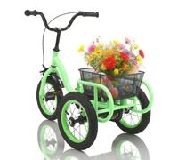 Ealtqund Tricycle pour enfant, 12 ", à partir de 2 à 5 ans, tricycle réglable en hauteur, frein de sécurité, protection de chaîne, panier XL, tricycle d'apprentissage pour enfants, 30 x 25 cm, vert