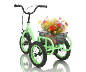 Ealtqund Tricycle pour enfant, 12 ", à partir de 2 à 5 ans, tricycle réglable en hauteur, frein de sécurité, protection de chaîne, panier XL, tricycle d'apprentissage pour enfants, 30 x 25 cm, vert