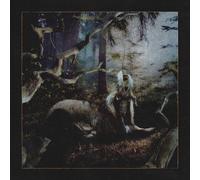 Earl Sweatshirt - Feet Of Clay [Vinyl Lp] Explicit