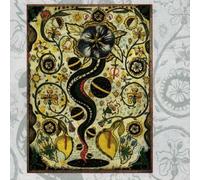 Earle, Steve - I Feel Alright by Earle, Steve (1996) Audio CD