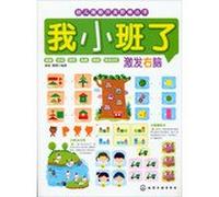 Early childhood development potential ladder Series: I stimulate the right brain in small classes(Chinese Edition)