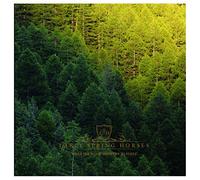 Early Spring Horses - What the Wood Whispers to Itself