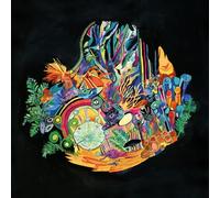 Kaitlyn Aurelia Smith - Ears [New Vinyl LP]