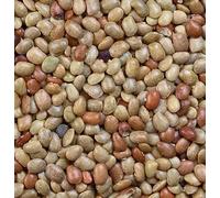 Earth Best KULTHI Dal/Macrotyloma Uniflorum/cheval 200 g