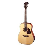 Cort Earth E100NS Naturel satiné Folk avec housse