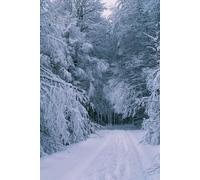 Earth’s Cold Dark Death