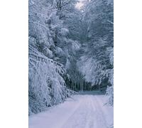 Earth’s Cold Dark Death