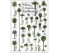 Earth Sky + Water - Palms & Cycads du Sud-Est américain - Affiches