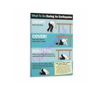 Earthquake Emergency Guide Poster Drop Cover Hold On Instructions Print Wall-Art for Home School Workplace Decor(Framed,08x12inch(20x30cm))