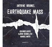 Earthquake Mass