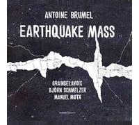 Earthquake Mass