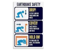 Earthquake Poster Seismic Activity Education Science Classroom Wall-Art | Clear earthquake diagram showing focus epicenter primary secondary wave propagation(Framed,16x24inch(40x60cm))