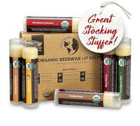 Earth's Daughter Saveurs de fruits, cire d'abeille, huile de coco, la vitamine E - - Baume à lèvres bio Usda 6-Pack par Best Repair lèvres Chapstick pour les lèvres sèches fissurés.