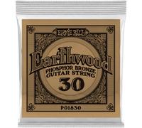 Earthwood Phosphore Bronze 30