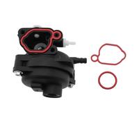 EaseSunny Carburateur pour 285251 / 08P502 / 300E / 591160 / 500e / 550e / 575e / 600e - Aluminium, compatible avec les numéros de pièces 799583, 593261, 595656, 591979