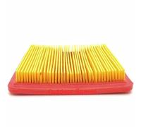 EaseSunny Mountfield RM45 Filtre à air compatible avec les modèles de tondeuse SP533, SP536, SP504 et 118550257/0