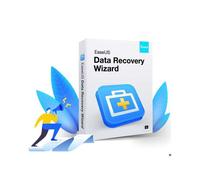 EaseUS Data Recovery Wizard 2026 | Professional (PC) (1 Appareil, À vie) - EaseUS Clé - GLOBAL