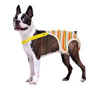 Eashable Pet sous-vêtements Culottes hygiéniques avec Sangle pour chiennes en Lavable en Machine et Couche aérée pour Chien respectueuse de la Peau