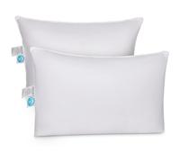 East Coast Bedding Cozy Dream Oreiller ferme Oreiller Queen Oreiller de soutien moyen Oreiller d'h tel Queen Size 20 x 30 pouces Oreillers en duv