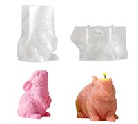 Easter Bunny Candle Mold - 3D Rabbit Candle Making Supplies, Creative Soap Mould with Detailed Shape, DIY Craft Tool, Plaster Resin Wax Art Decoration for Family Friends Home Accent Holiday Projects
