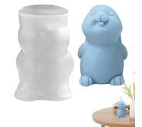 Easter Bunny Silicone Mold for Easter | Adorable Easter Bunny Aromatherapy Plaster Mold for Candle Wax | Artisanat, Aromatherapy Plaster Mold, Home Kitchen, Easy to Release