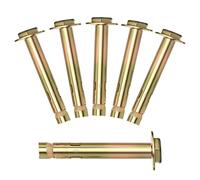 Eastrise Lot de 6 boulons d'ancrage galvanisés M10 x 80 mm pour béton, brique, murs de maçonnerie - Capacité de charge de 50 kg, bouchons à vis résistants à la corrosion avec étui de rangement