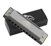 EastRock Blues Harmonica à bouche 10 trous en sol avec étui, harmonica diatonique pour joueur professionnel, débutant, étudiant, cadeau pour adultes, amis, cadeau noir