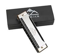 EastRock Harmonica diatonique en Do, 20 tons, à 10 trous pour débutants, avec étui de soin cadeau (Argent)