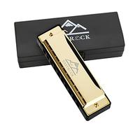 EastRock Harmonica diatonique en Do, harmonica diatonique 20 tones,10 trous pour débutant étudiants,Harmonica c avec étui chiffon de soin cadeau (10 Trous, Or)